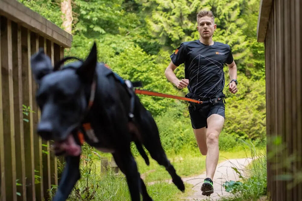 Renting and selling dog harnesses like the Free Motion and all other action sports related leashes, belts, bike antennas, dog life jackets, dog booties, dog winter coats, and more.